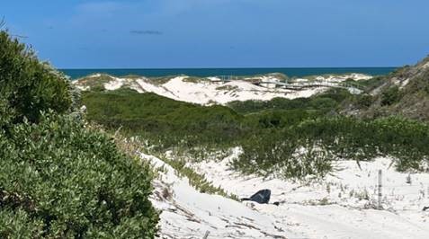 0 Bedroom Property for Sale in Struisbaai Western Cape